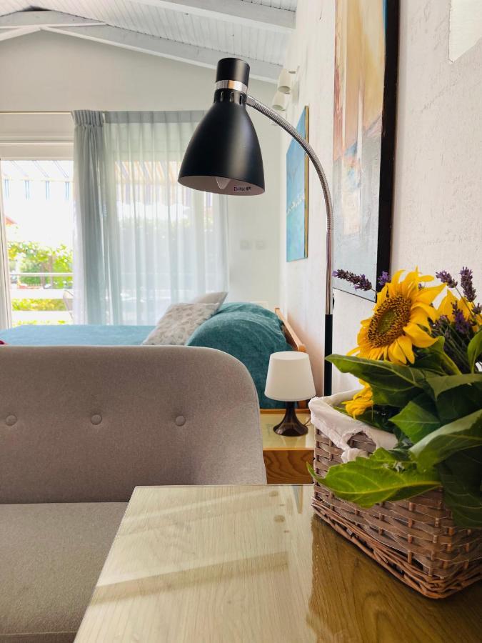 Pasiflora Studio Novigrad Istria エクステリア 写真